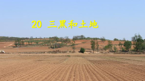 20.三黑和土地