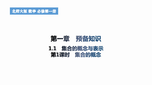 1.1.1 集合的概念与表示(第1课时)2024-2025学年高一上学期数学北师大版必修第一册