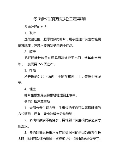 多肉叶插的方法和注意事项