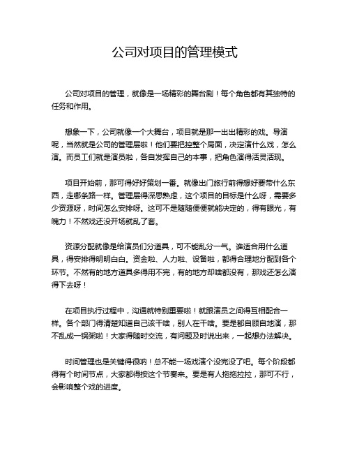 公司对项目的管理模式