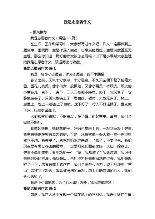 我是志愿者作文