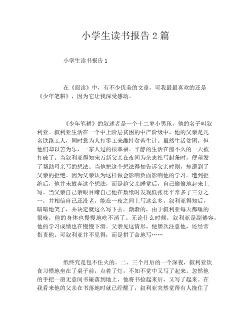 小学生读书报告2篇