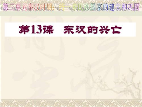 2016年新人教版历史七年级上册-第13课东汉的兴亡