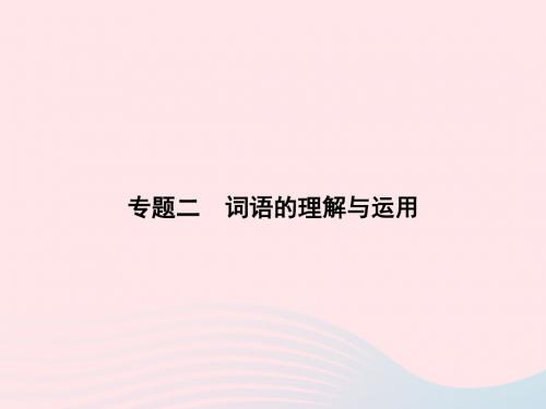 九年级语文下册期末专题复习二词语的理解与运用课件语文版