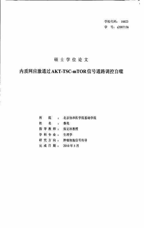 内质网应激通过AKT-TSC-mTOR信号通路调控自噬