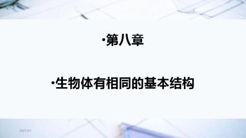 苏科版七年级生物下册期末复习课件