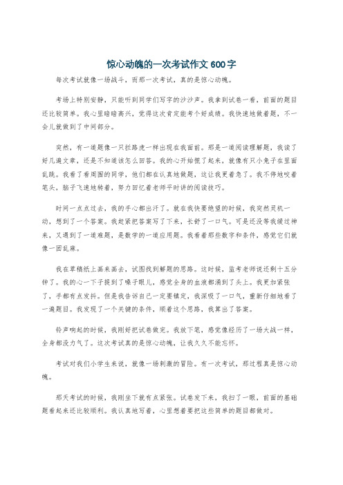 惊心动魄的一次考试作文600字