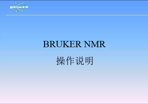 bruker操作培训教程文件