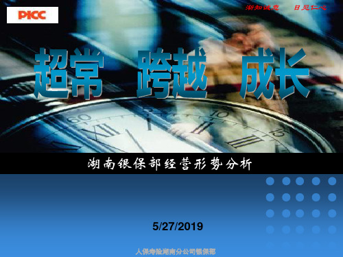 2019年最新-湖南银保部经营形势分析-精选文档