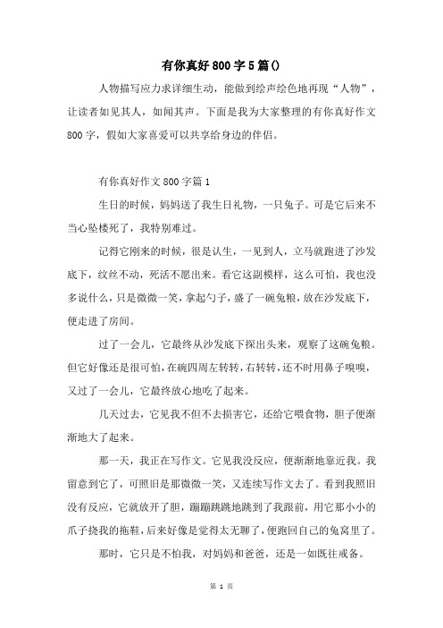 有你真好800字5篇()