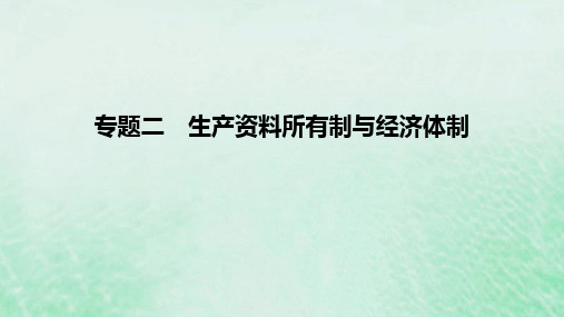 2023版高考政治一轮复习真题精练专题二生产资料所有制与经济体制课件