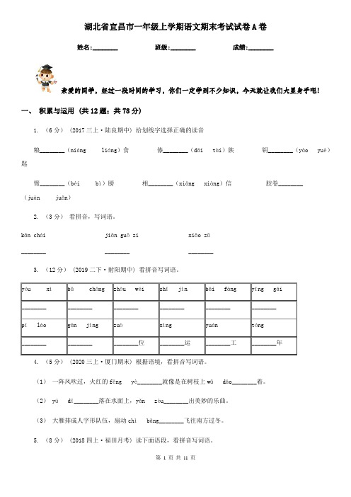 湖北省宜昌市一年级上学期语文期末考试试卷A卷