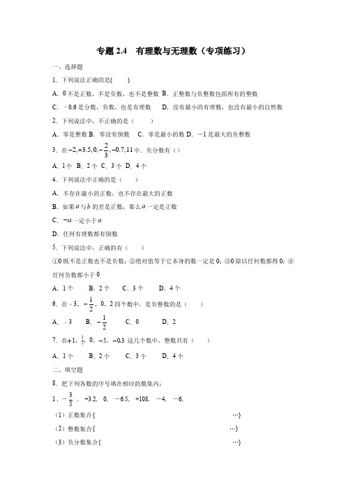 专题2.4 有理数与无理数-2020-2021学年七年级数学上册基础知识专项讲练