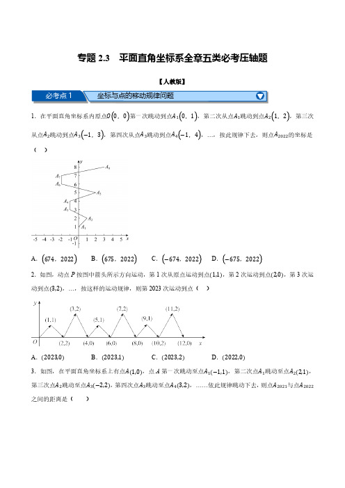 专题2.3 平面直角坐标系全章五类必考压轴题(原卷版)