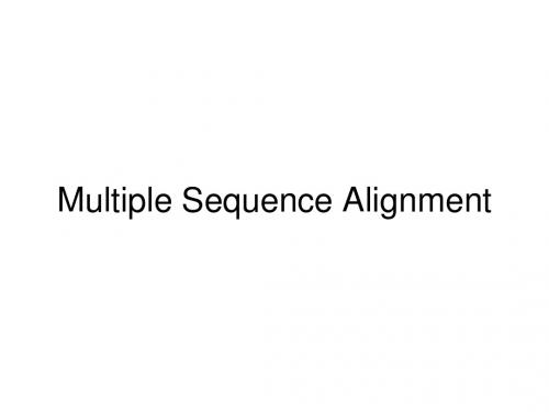 Multiple Sequence Alignment