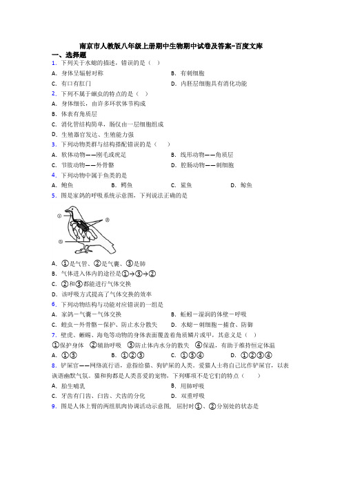 南京市人教版八年级上册期中生物期中试卷及答案-百度文库