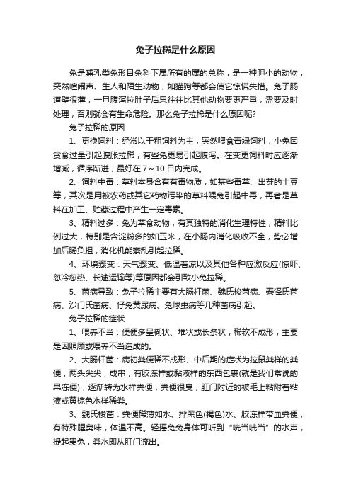 兔子拉稀是什么原因