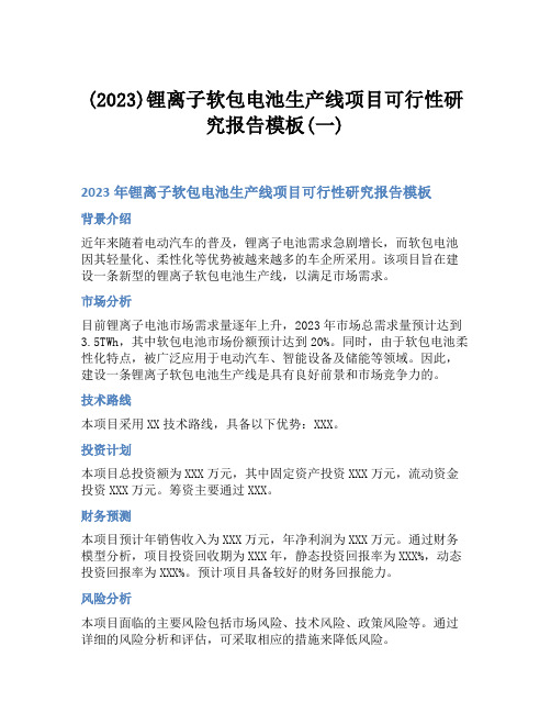 (2023)锂离子软包电池生产线项目可行性研究报告模板(一)