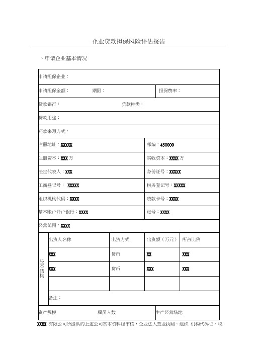 企业贷款担保风险评估报告