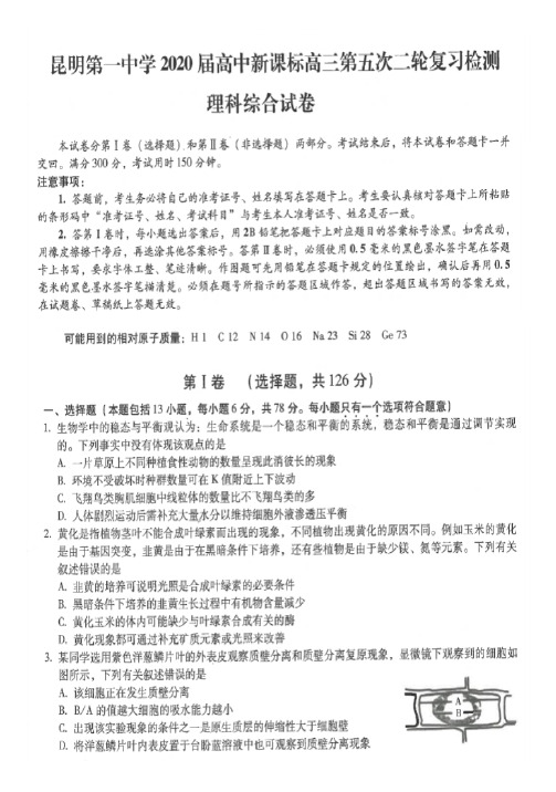 云南省昆明市第一中学2020届高三第五次检测 理科综合试题(扫描版含答案)