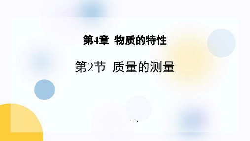 《质量的测量》PPT课件