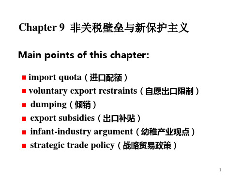 2019-第9章 非关税壁垒与新保护主义-文档资料