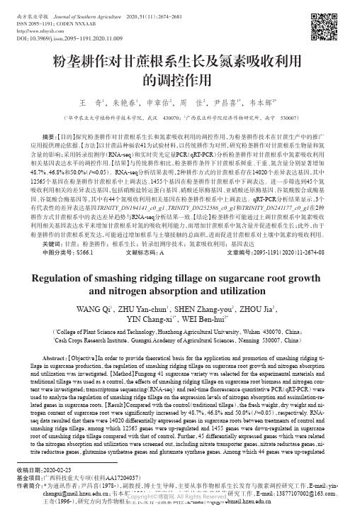 粉垄耕作对甘蔗根系生长及氮素吸收利用的调控作用