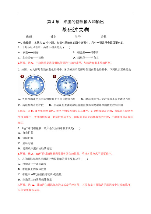 统编人教版生物高中必修第一册第四章《本章综合与测试》基础过关单元测试卷(解析版)