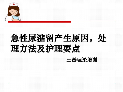 急性尿潴留产生的原因处理方法及护理要点精品PPT课件