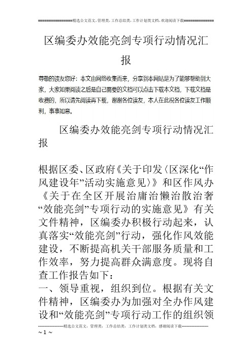 区编委办效能亮剑专项行动情况汇报