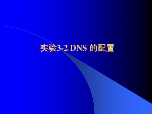 DNS 的配置