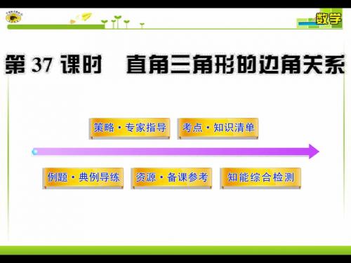 直角三角形的边角关系复习北师大版数学课件