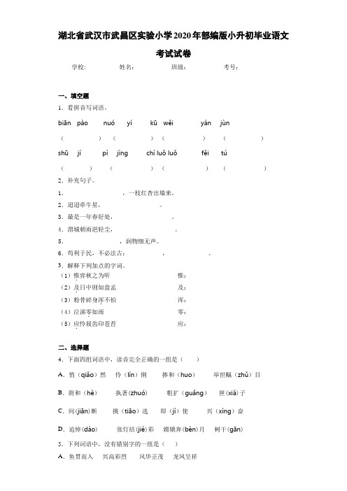 湖北省武汉市武昌区实验小学2020年小升初毕业语文考试试卷(答案解析)