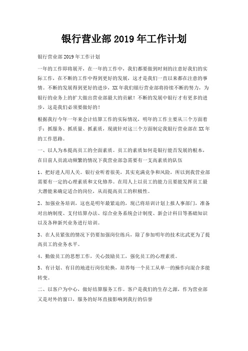 最新-银行营业部2019年工作计划 精品