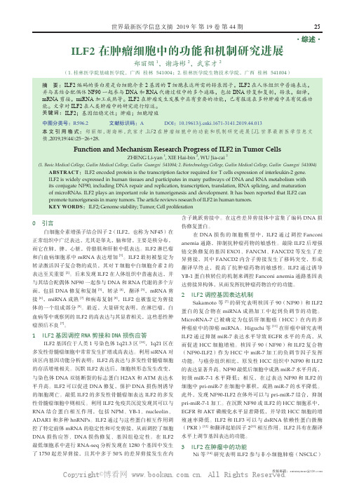 ILF2 在肿瘤细胞中的功能和机制研究进展
