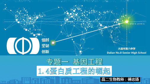 人教版生物选修3专题1、4《蛋白质工程的崛起》名师课件(共17张PPT)