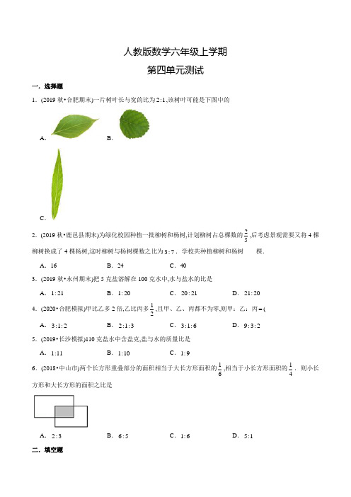 人教版数学六年级上册《第四单元综合检测题》含答案