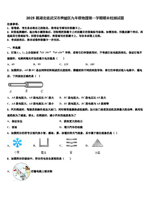 2025届湖北省武汉市黄陂区九年级物理第一学期期末检测试题含解析