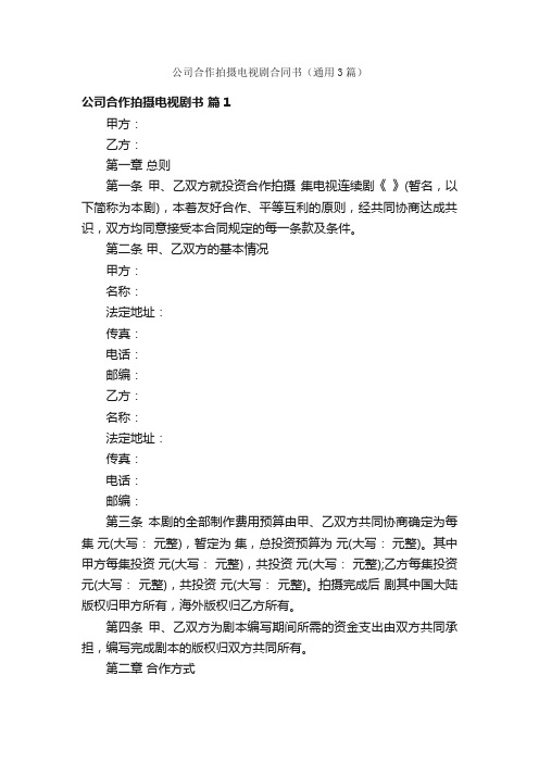 公司合作拍摄电视剧合同书（通用3篇）