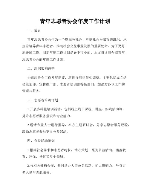 青年志愿者协会年度工作计划