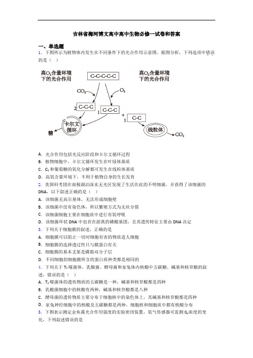 吉林省梅河博文高中高中生物必修一试卷和答案