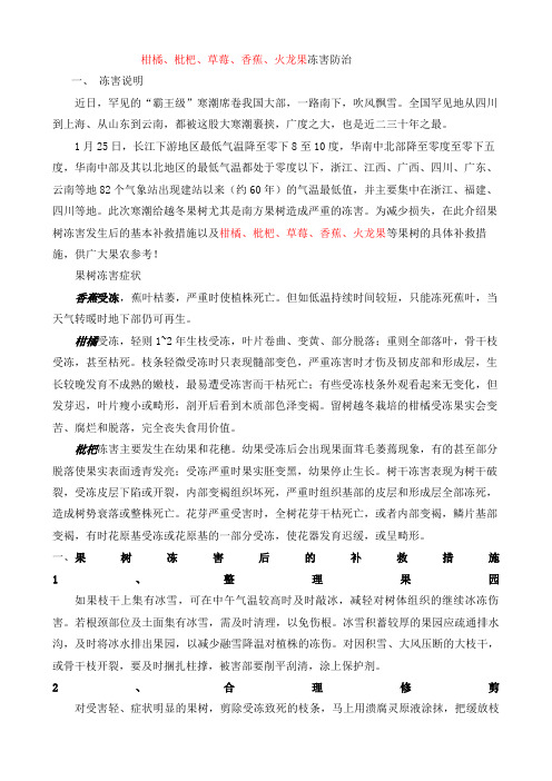 柑橘枇杷草莓香蕉火龙果冻害防治