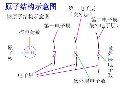 1-1-1原子核外电子排布