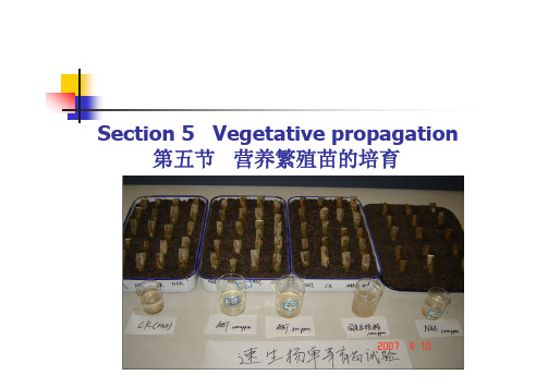 第五节 营养繁殖育苗