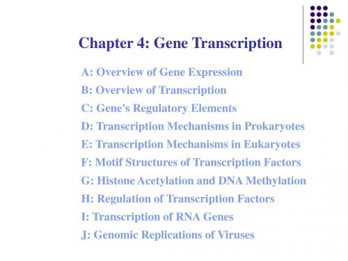 细胞分子生物学4(英文)