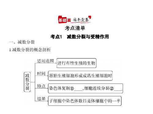 2021年江苏高考生物复习课件：专题9 遗传的细胞基础(讲解部分)