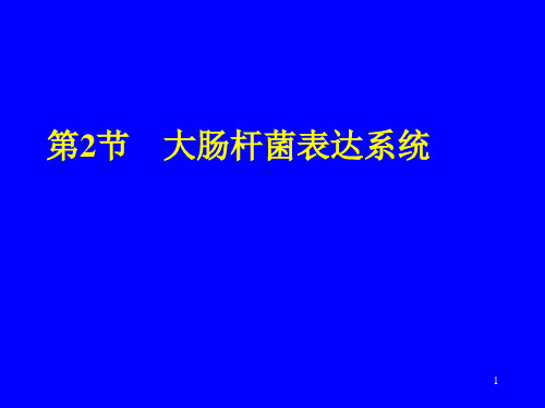 基因表达系统大肠杆菌表达系统