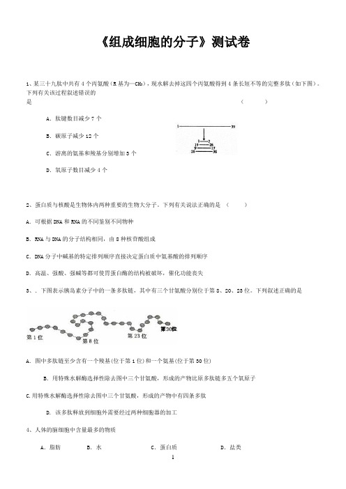 《组成细胞的分子》测试卷