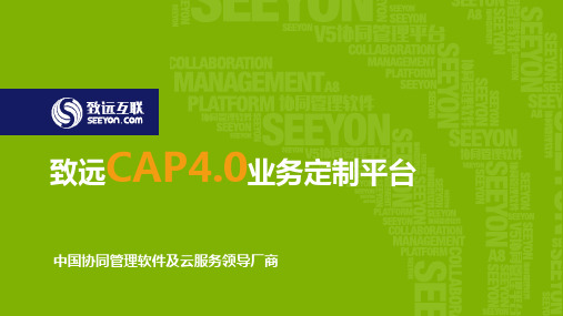 CAP4.0平台解决方案v1.1