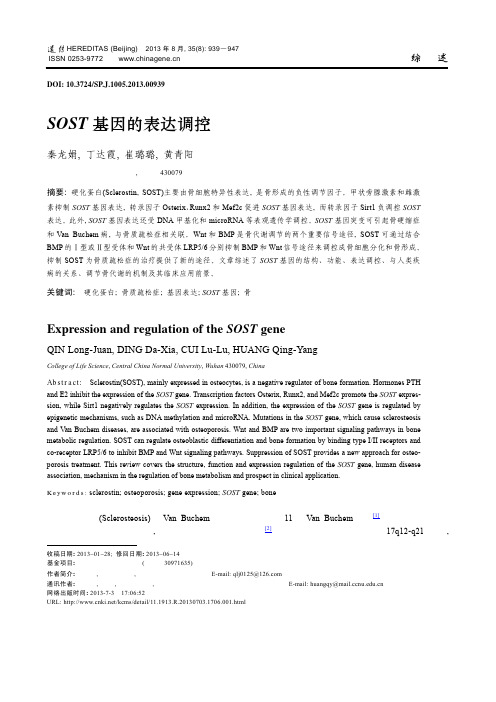 SOST基因的表达调控